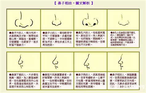 鼻子有志|「面相」鼻為面王，鼻子看你性格和財運！